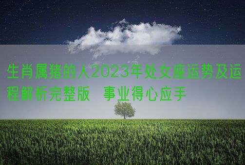 生肖属猪的人2023年处女座运势及运程解析完整版  事业得心应手(图1)