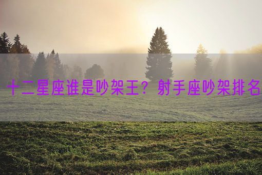 十二星座谁是吵架王？射手座吵架排名(图1)