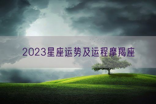 2023星座运势及运程摩羯座(图1)