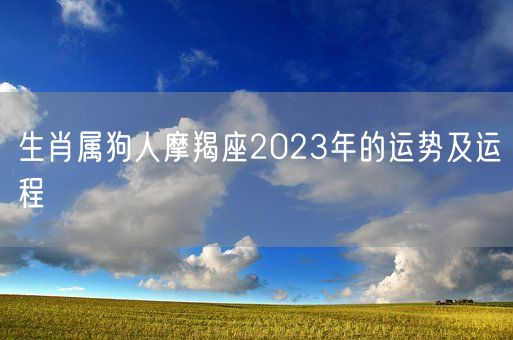 生肖属狗人摩羯座2023年的运势及运程(图1)
