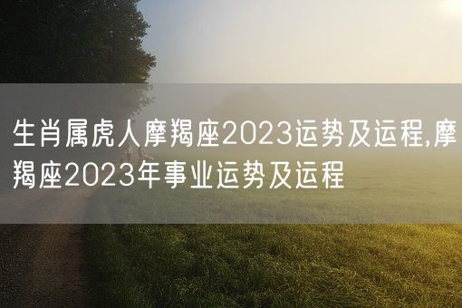 生肖属虎人摩羯座2023运势及运程,摩羯座2023年事业运势及运程(图1)