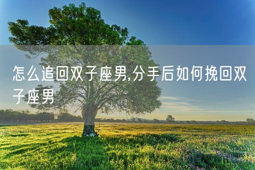 怎么追回双子座男,分手后如何挽回双子座男(图1)