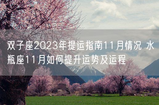 双子座2023年提运指南11月情况 水瓶座11月如何提升运势及运程(图1) 双子座2023年提运指南11月情况 水瓶座11月如何提升运势及运程(图1)