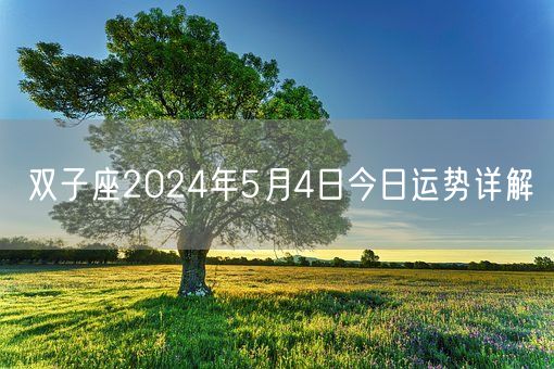 双子座2024年5月4日今日运势详解(图1) 双子座2024年5月4日今日运势详解(图1)