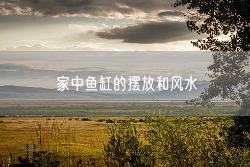 家中鱼缸的摆放和风水(图1)