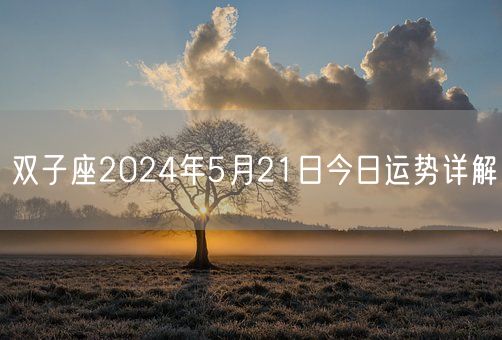 双子座2024年5月21日今日运势详解(图1) 双子座2024年5月21日今日运势详解(图1)