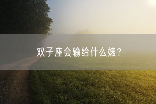 双子座会输给什么婊?(图1) 双子座会输给什么婊?(图1)