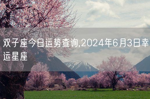 双子座今日运势查询,2024年6月3日幸运星座(图1)