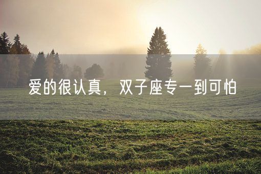 爱的很认真,双子座专一到可怕(图1) 爱的很认真,双子座专一到可怕(图1)