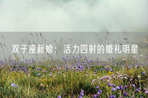 双子座新娘:活力四射的婚礼明星(图1) 双子座新娘:活力四射的婚礼明星(图1)