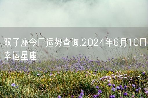 双子座今日运势查询,2024年6月10日幸运星座(图1) 双子座今日运势查询,2024年6月10日幸运星座(图1)