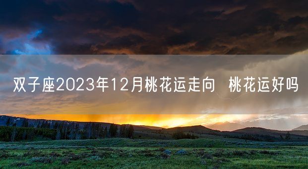 双子座2023年12月桃花运走向 桃花运好吗(图1) 双子座2023年12月桃花运走向 桃花运好吗(图1)
