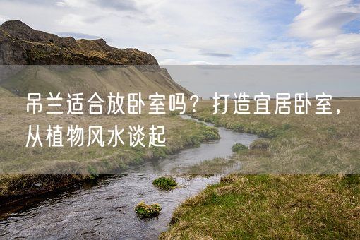 吊兰适合放卧室吗？打造宜居卧室，从植物风水谈起(图1)