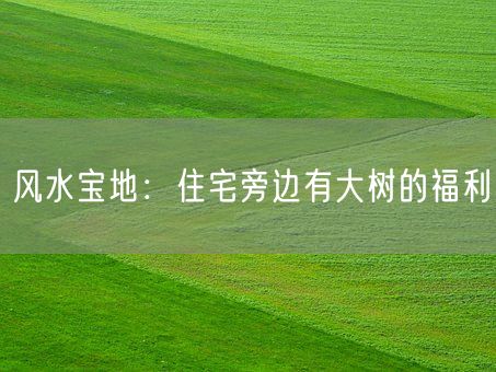 风水宝地：住宅旁边有大树的福利(图1)
