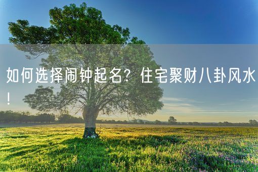 如何选择闹钟起名？住宅聚财八卦风水！(图1)