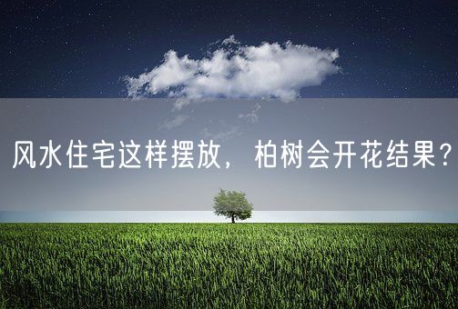 风水住宅这样摆放，柏树会开花结果？(图1)