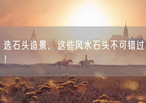 选石头造景，这些风水石头不可错过！(图1)