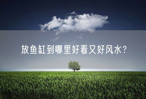 放鱼缸到哪里好看又好风水？(图1)