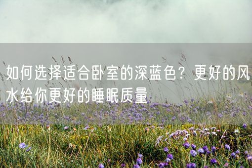 如何选择适合卧室的深蓝色？更好的风水给你更好的睡眠质量(图1)