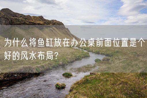 为什么将鱼缸放在办公桌前面位置是个好的风水布局？(图1)