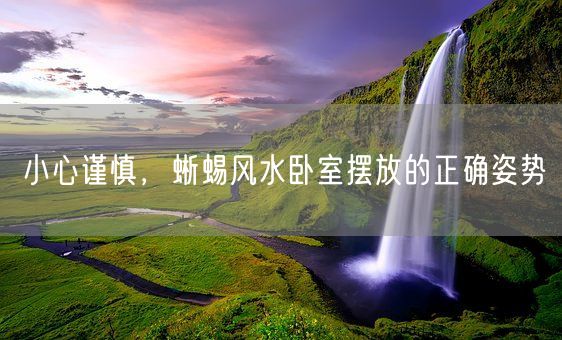 小心谨慎，蜥蜴风水卧室摆放的正确姿势(图1)