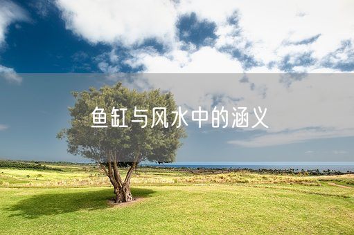 鱼缸与风水中的涵义(图1)