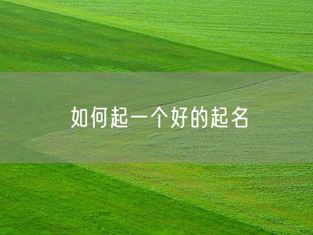如何起一个好的起名(图1)