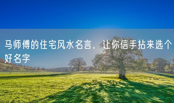 马师傅的住宅风水名言，让你信手拈来选个好名字(图1)