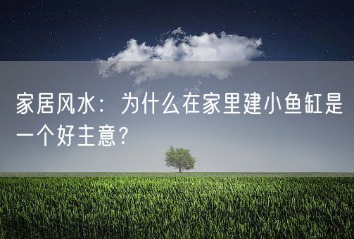 家居风水：为什么在家里建小鱼缸是一个好主意？(图1)
