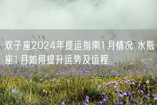 双子座2024年提运指南1月情况 水瓶座1月如何提升运势及运程(图1) 双子座2024年提运指南1月情况 水瓶座1月如何提升运势及运程(图1)