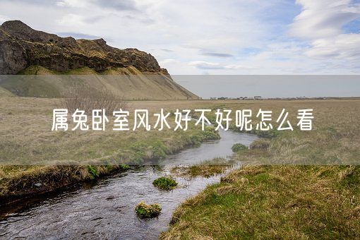 属兔卧室风水好不好呢怎么看(图1)
