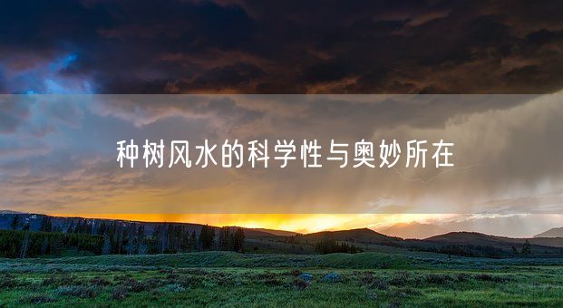 种树风水的科学性与奥妙所在(图1)