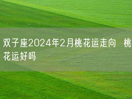 双子座2024年2月桃花运走向 桃花运好吗(图1) 双子座2024年2月桃花运走向 桃花运好吗(图1)