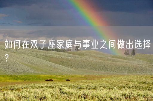 如何在双子座家庭与事业之间做出选择?(图1) 如何在双子座家庭与事业之间做出选择?(图1)