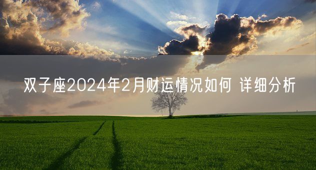 双子座2024年2月财运情况如何 详细分析(图1)