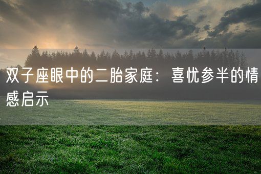 双子座眼中的二胎家庭:喜忧参半的情感启示(图1) 双子座眼中的二胎家庭:喜忧参半的情感启示(图1)