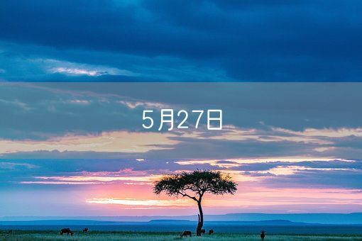 5月27日(图1) 5月27日(图1)