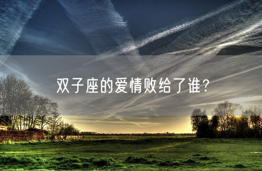 双子座的爱情败给了谁?(图1) 双子座的爱情败给了谁?(图1)