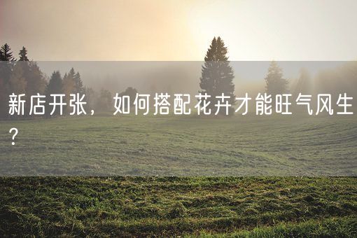 新店开张，如何搭配花卉才能旺气风生？(图1)