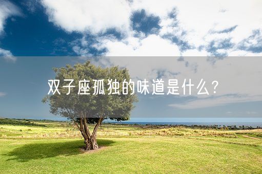 双子座孤独的味道是什么?(图1) 双子座孤独的味道是什么?(图1)