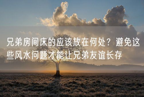 兄弟房间床的应该放在何处？避免这些风水问题才能让兄弟友谊长存(图1)