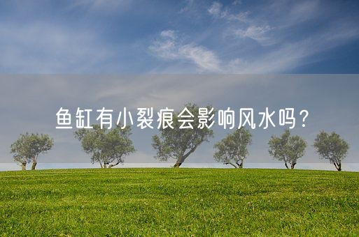 鱼缸有小裂痕会影响风水吗？(图1)