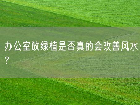 办公室放绿植是否真的会改善风水?(图1) 办公室放绿植是否真的会改善风水?(图1)