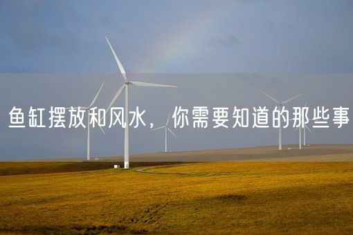 鱼缸摆放和风水，你需要知道的那些事(图1)