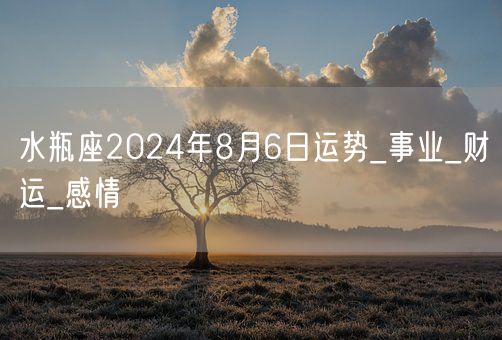 水瓶座2024年8月6日运势_事业_财运_感情(图1)