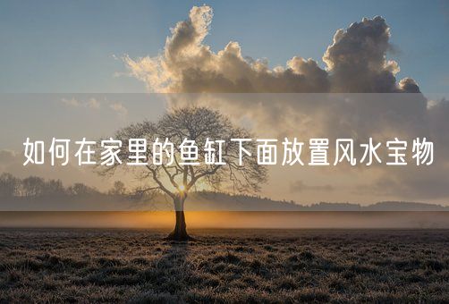 如何在家里的鱼缸下面放置风水宝物(图1)