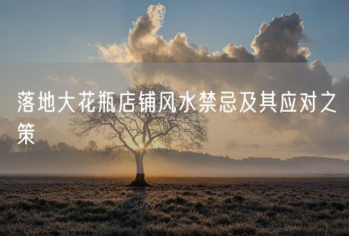 落地大花瓶店铺风水禁忌及其应对之策(图1)