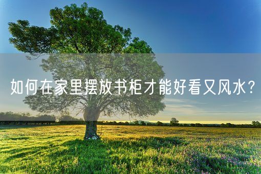 如何在家里摆放书柜才能好看又风水？(图1)