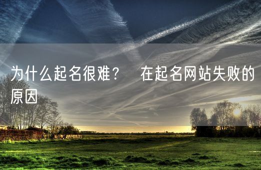 为什么起名很难？  在起名网站失败的原因(图1)