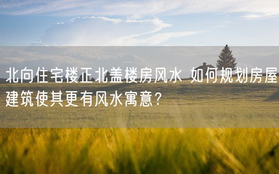 北向住宅楼正北盖楼房风水 如何规划房屋建筑使其更有风水寓意？(图1)